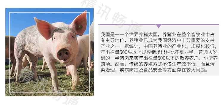 传感器