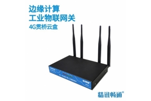 边缘计算工业物联网关4G贯桥云盒