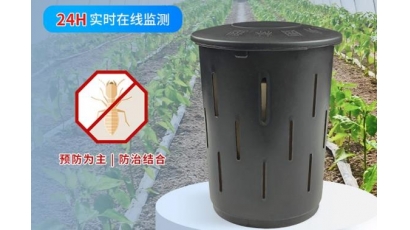 白蚁监测站